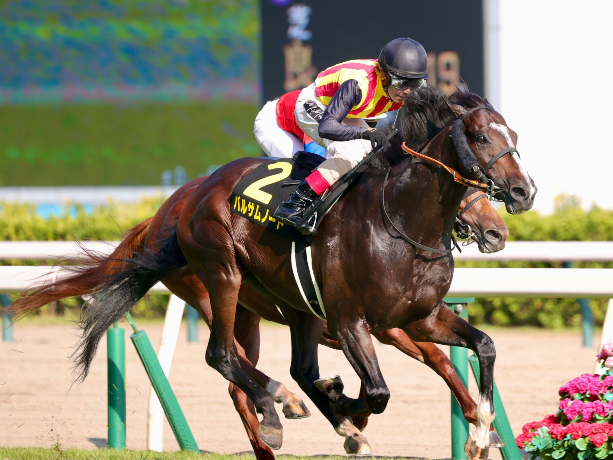 骑马队全队备战下场比赛，决心取得全面胜利的简单介绍