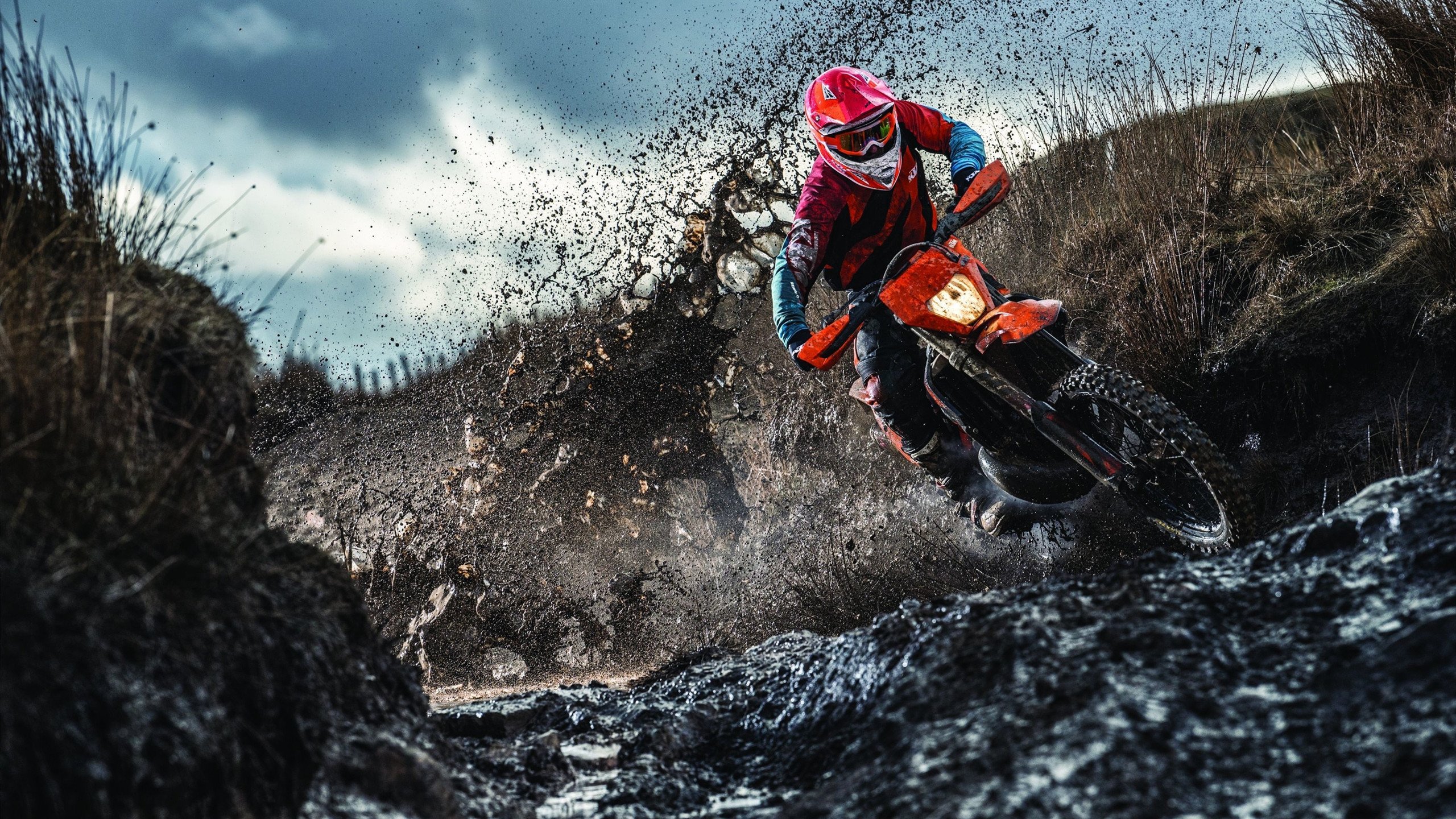 西决生死战焦点战，灰熊硬仗取胜雄鹿，青春风暴席卷联盟